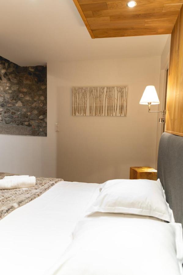 La Cour Filaterie - Suite Au D'Annecy Pdj En Option エクステリア 写真